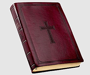 bible 35 authors